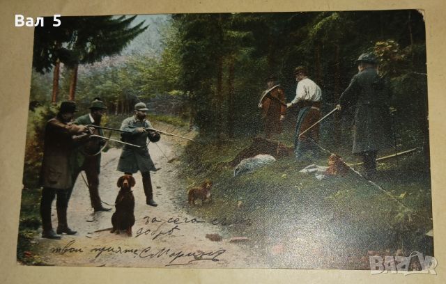 Стара цветна картичка 1906 г - лов , ловци , кучета , хралупа, снимка 2 - Филателия - 45695311