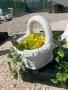 Градинска Кошничка  , снимка 2