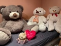 Плюшено мече плюшени мечета различни размери и големина видове кафяв бял бежов мечок, снимка 1