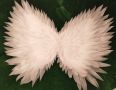 Ангелски крила за фотосесия или декорации, снимка 4
