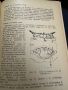 Новокаинът в съвременната терапия -В.Янчев,1963,стр.211, снимка 2