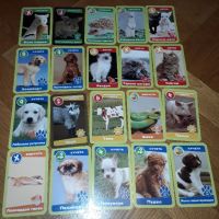 Карти за игра детски, снимка 3 - Игри и пъзели - 45318267