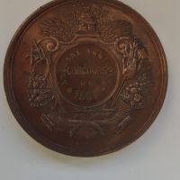 Красив медал "Concours Ardenne Agricole 1884 Ville de Stavelot", снимка 4 - Антикварни и старинни предмети - 45573504