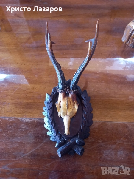 Рога от Сръндак, снимка 1