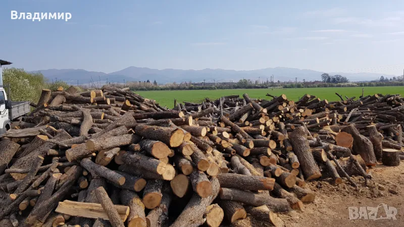 Дървесни трици, снимка 1