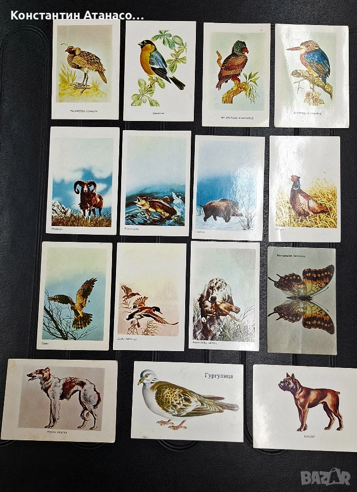 Стари календарчета на животни от 80'те год., снимка 1