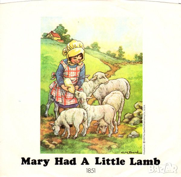 Грамофонни плочи Wings ‎– Mary Had A Little Lamb 7" сингъл, снимка 1