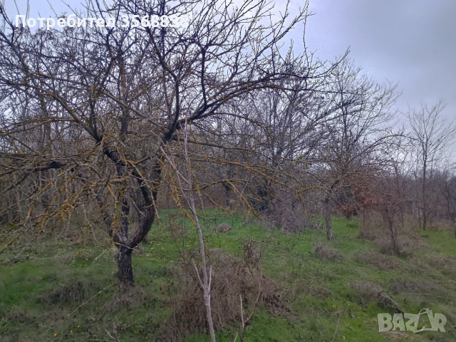 Вила ,със застроена площ 50 кв  м (има и гараж), , снимка 8 - Вили - 52789100