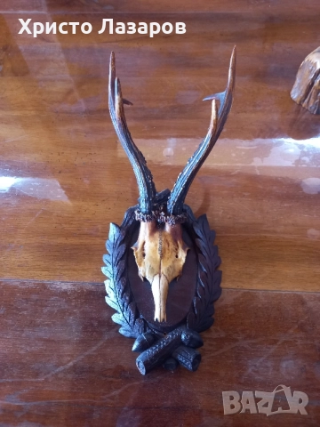 Рога от Сръндак