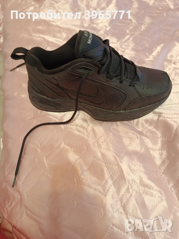 Мъжки обувки Air Monarch