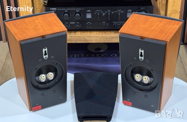 Dynaudio Contour SR / Тонколони, снимка 9 - Тонколони - 53433247