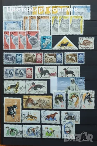 Кучета и котки / марки/ К.2, снимка 2 - Филателия - 49731116