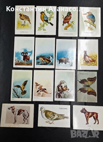 Стари календарчета на животни от 80'те год.