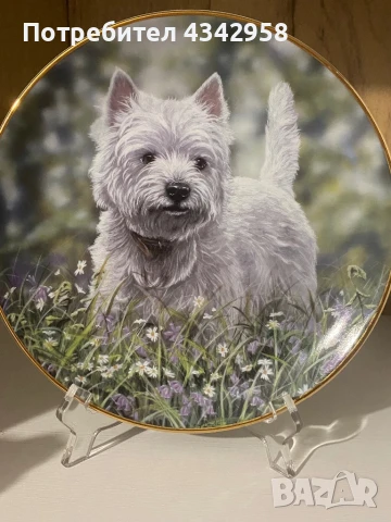 Колекционерска чиния от серия « Westies “
