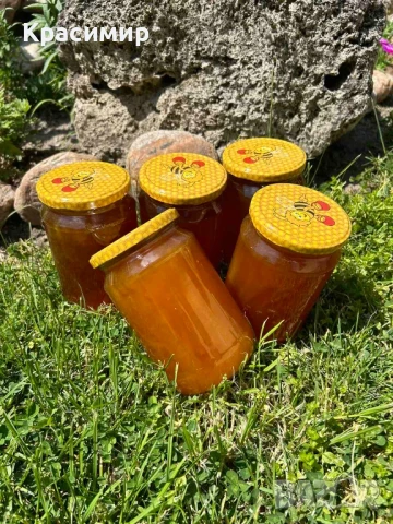 Предлагам натурален пчелен мед , снимка 6 - Пчелни продукти - 50456583