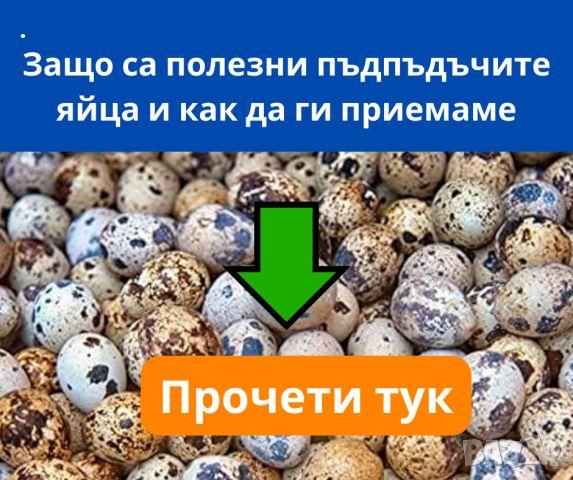 Пъдпъдъчи яйца - Как да приемаме яйца от пъдпъдък и Защо са полезни? , снимка 1 - Домашни продукти - 45439327