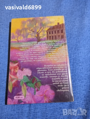 Кони Мейсън - Ласки и насилие , снимка 3 - Художествена литература - 52938781