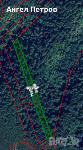 Гора село Долна Бела Речка, общ. Вършец, снимка 7 - Земеделска земя - 54078046