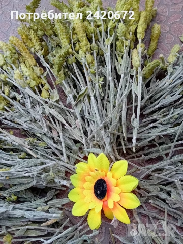 био мурсалски чай на едро и дребно