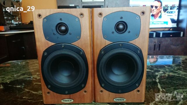 Tannoy Revolution r1, снимка 1 - Тонколони - 46586638