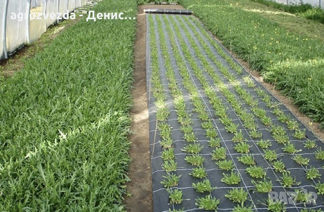 Зебло против плевели, снимка 3 - Други - 53331069