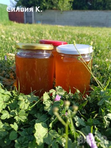 Мед, снимка 3 - Пчелни продукти - 46389554