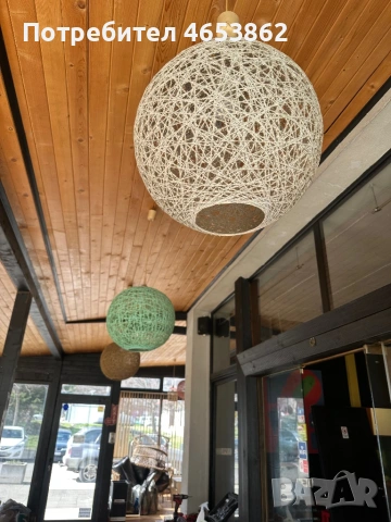 Полилеи , снимка 3 - Полилеи - 53696638