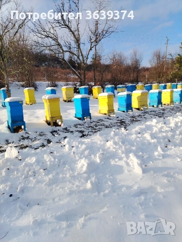 пчелни отводки , снимка 4 - За пчели - 53629533
