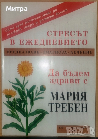 Стресът в ежедневието