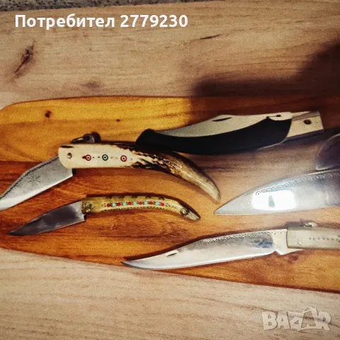 Габровски сойки от колекция Нови!, снимка 6 - Колекции - 50437855