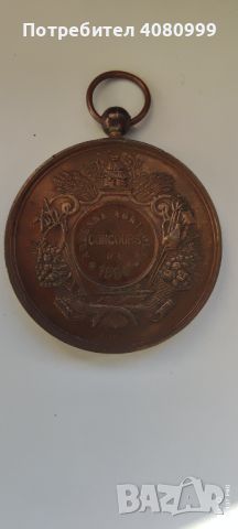 Красив медал "Concours Ardenne Agricole 1884 Ville de Stavelot", снимка 4 - Антикварни и старинни предмети - 45573504