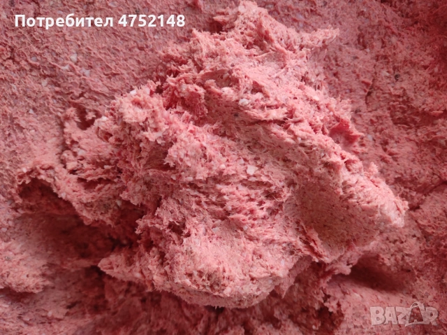 Сурова храна за кучета и котки