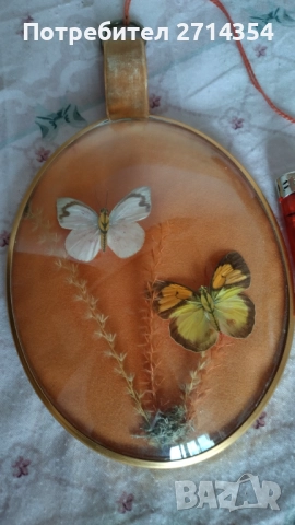 Декорация за стена пеперуди , снимка 3 - Антикварни и старинни предмети - 52129239