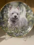 Колекционерска чиния от серия « Westies “, снимка 1