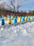 пчелни отводки , снимка 4
