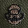 Нашивка за бойни водолази на армията на САЩ (US Army Scuba Diver badge), снимка 1