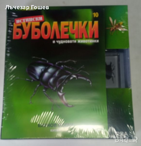 Продавам: Истински буболечки БРОЙ 10 - ЕЛЕНОВ РОГАЧ, снимка 1