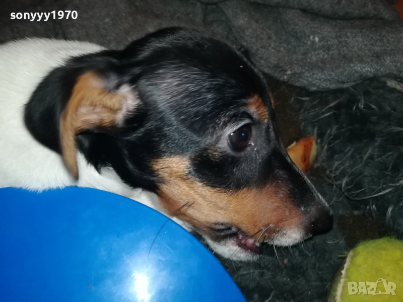 аз съм малка и сладка...женско бебе джак 0911251441, снимка 1