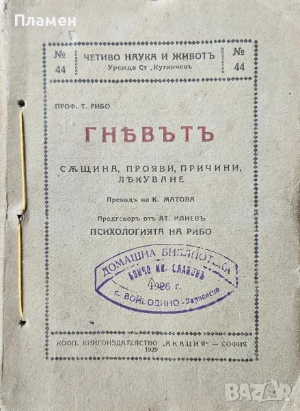 Гневътъ Теодоръ Рибо /1929/, снимка 1