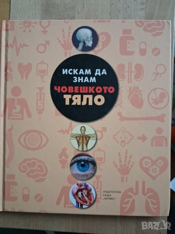 Детска енциклопедия за човешкото тяло, снимка 1