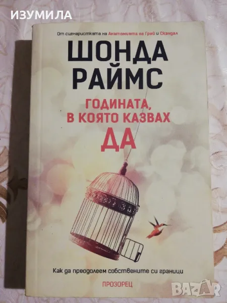 Годината в която казвах Да - Шонда Раймс, снимка 1