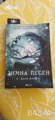 Зимна песен , снимка 1