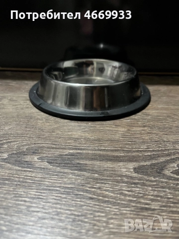 Чихуахуа , снимка 7 - Чихуахуа - 52668725