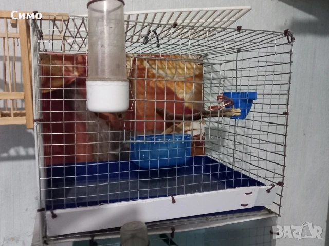 клетки да птици, снимка 9 - За птици - 53770682