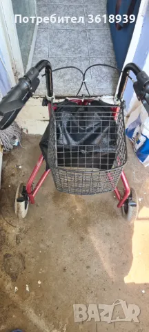 Проходилка английска, снимка 3 - Други - 49929440