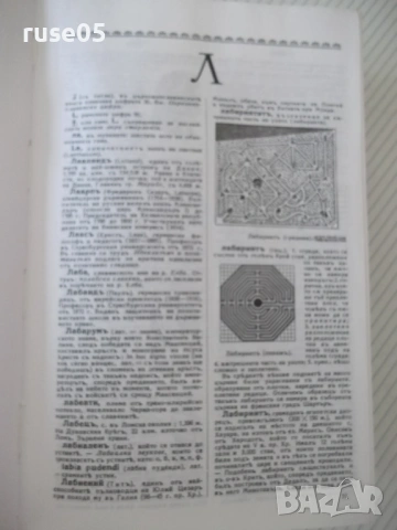 Книга "Българска енциклопедия-Л-Я-Н.Данчов/И.Данчов"-1720стр, снимка 6 - Енциклопедии, справочници - 54168323