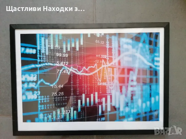 Снимка трофей за украса на офиса / дома, снимка 1