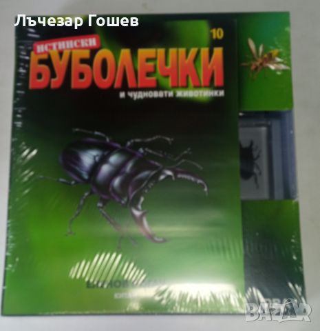 Продавам: Истински буболечки БРОЙ 10 - ЕЛЕНОВ РОГАЧ, снимка 1 - Списания и комикси - 46304397