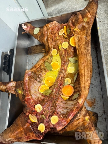 Печени агнета и прасета, снимка 13 - Други услуги - 51031087