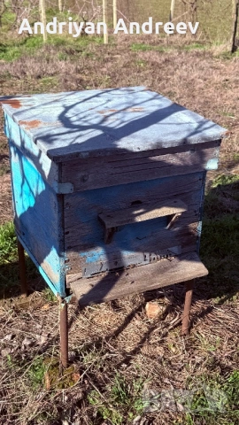 2 броя пчелни семейства и инвентар